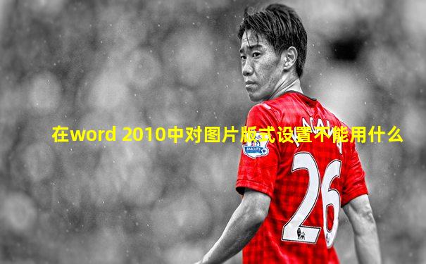 在word 2010中对图片版式设置不能用什么